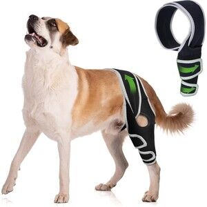Dog Knee Brace for Torn ACL Hind Leg, Dog Front Leg Brace - Size Large